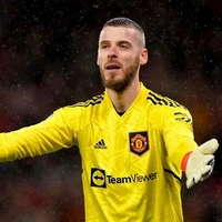 David de gea (kamen rider)