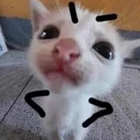 con hệ thống lười nhất (me)