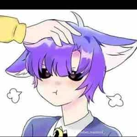 Hiha Catnap 