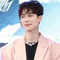 bi (lâm anh)