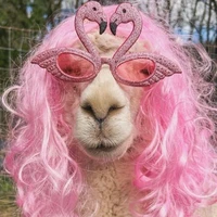 All(trừ ai thì trừ)