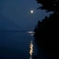 T/g