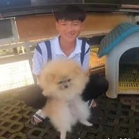 TThật