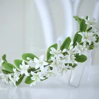 chị t/g