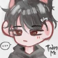 Toàn 