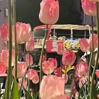 gia đình của diệp