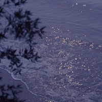 tác giả chuyên gia suy tình