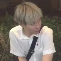 chủ trì bộ truyện 