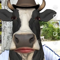 tg không mê géi