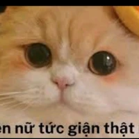 T/G ghét tảnh tiêu