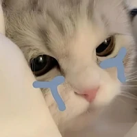 t/g bị lười đây