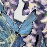 tui