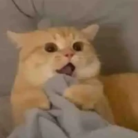 hệ thống (t/g)