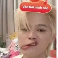 Nguyễn Quang Anh(cá bột)