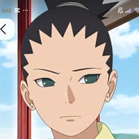 nara Shikadai
