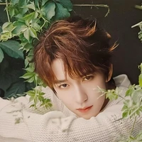 Hạ Tuấn Lâm_HJL