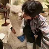 @𝐬𝐢𝐥𝐞𝐧𝐭𝐛𝐨𝐢𝐢 ᐟ ♈︎ ᐟ 17
