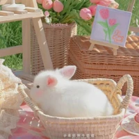 Tác giả cutii