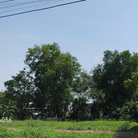 all (Trừ ai thì trừ) 