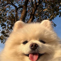 allBot(trừ ai cx đc)
