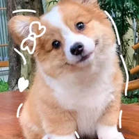 allTop/Bot ở đó