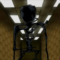 Entity 1