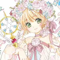 𝐒𝐚𝐤𝐮𝐫𝐚 𝐊𝐢𝐧𝐨𝐦𝐨𝐭𝐨 