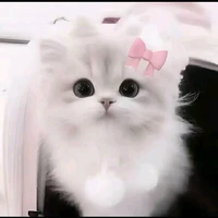 Nhóm của Hùng
