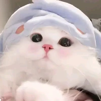Hệ Thống + T/G (tranie)