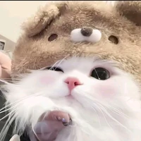 con zợ của T/G_(Anhnie)