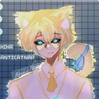 hiha anti catnap