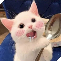 t/g