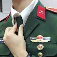Văn Bình [ TPT tổng hợp và phân tích DLHT]