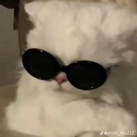 hệ thống phá nhà