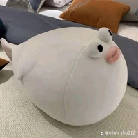 cá lùn tẹt (t/g)
