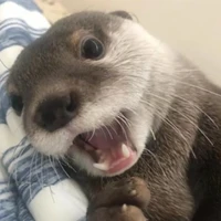 tác vừa xổng trại