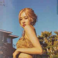 Park Chaeyoung 
