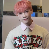 Nguyễn Thái Sơn (Sơn)