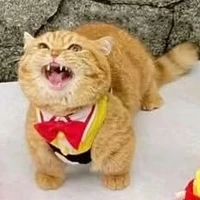 tác giả hay quạo