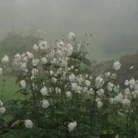 All