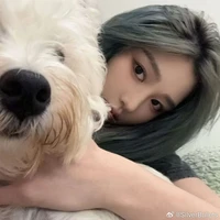 Vương Dịch-Wy