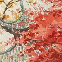 All người nhà Quang Anh