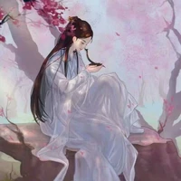 nvp nữ