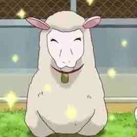 Con 🐑 
