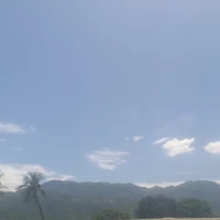 t/g