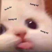 Mọi người (-ai thì-)