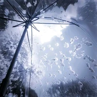 All