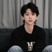 Trần Tư Hãn_em