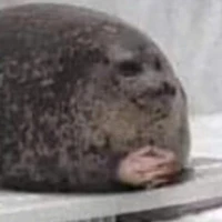 Cả lớp