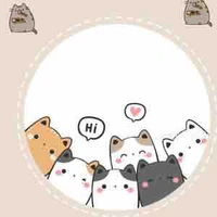 Nvp